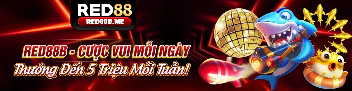 Điều khoản Dịch vụ n666